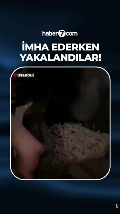 Evrakları imha ederken yakalandılar!