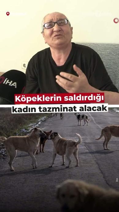 K&ouml;pekler saldırmıştı: Tazminat alacak!