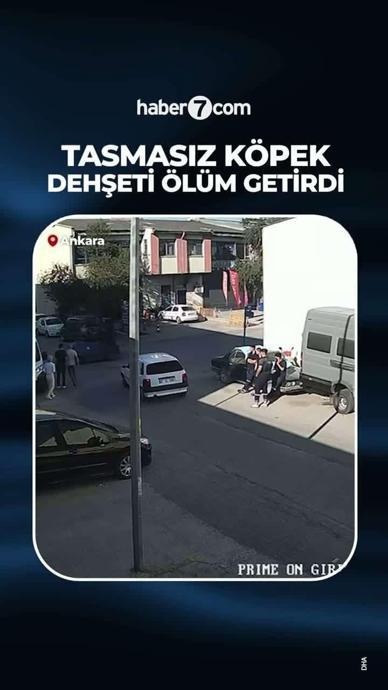 Tasmasız k&ouml;pek ter&ouml;r&uuml; can aldı!