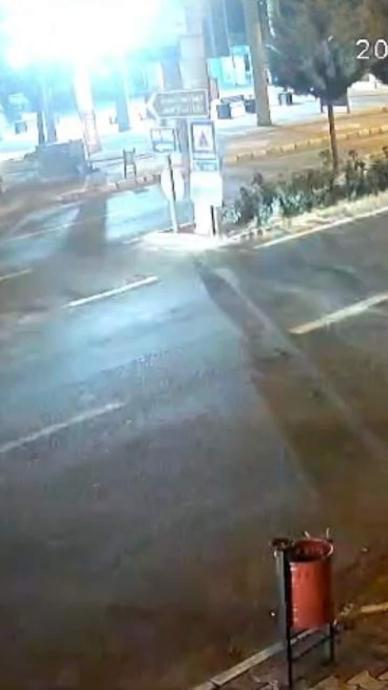 Kontrolden &ccedil;ıkıp ref&uuml;jdeki ağa&ccedil;ları bi&ccedil;ti!