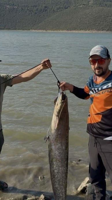 Dev balık oltaya takıldı