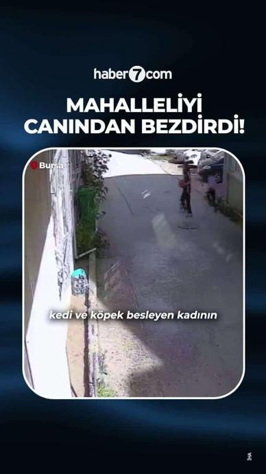 Yaptıklarıyla mahalleliyi canından bezdirdi!