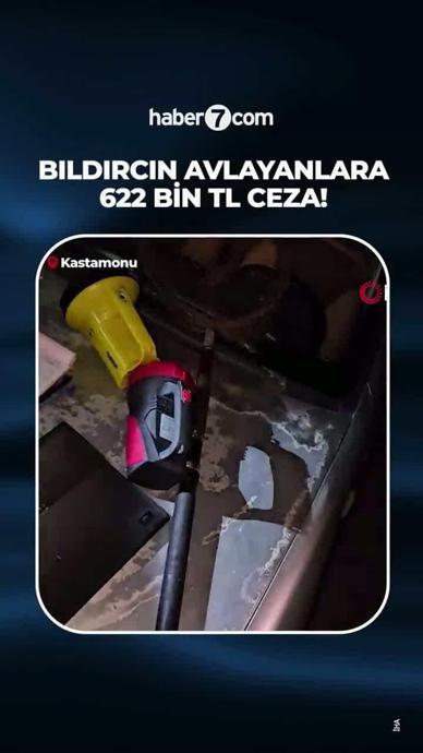 Bıldırcın avlayan şahıslara 622 bin lira ceza!