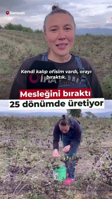 Mesleğini bıraktı, 25 d&ouml;n&uuml;ml&uuml;k arazide &uuml;retip