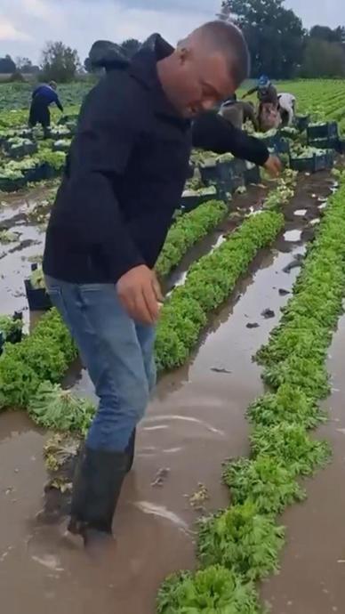 Afeti tevekk&uuml;l ile karşıladı