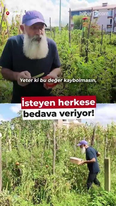 İsteyene herkese bedava veriyor