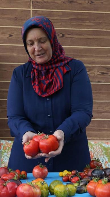 55 &ccedil;eşit tohumu &uuml;cretsiz dağıtıyor