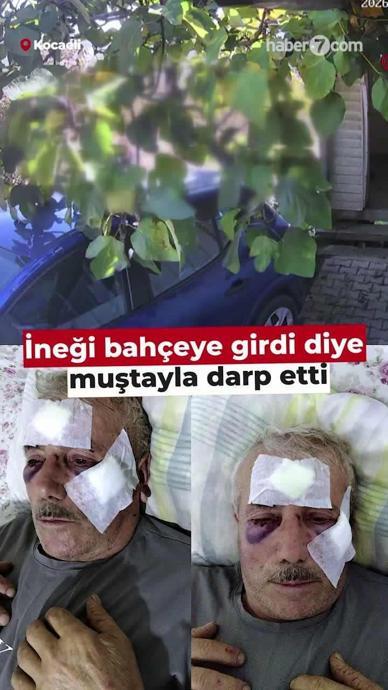 İneği bah&ccedil;eye girdi diye adamı darp etti