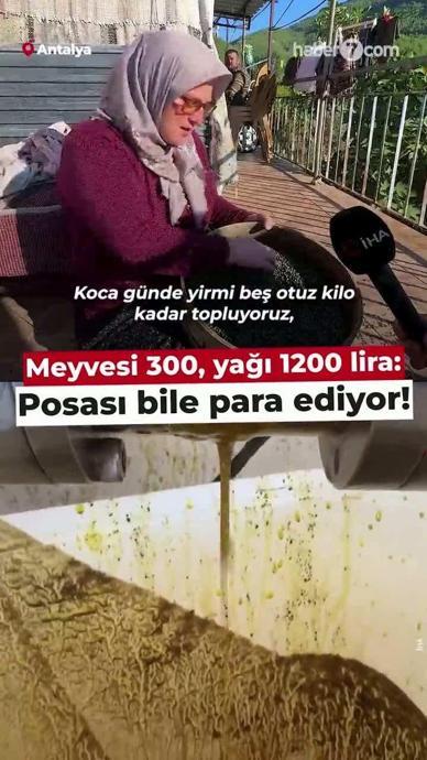 Meyvesi 300, yağı bin 200 lira