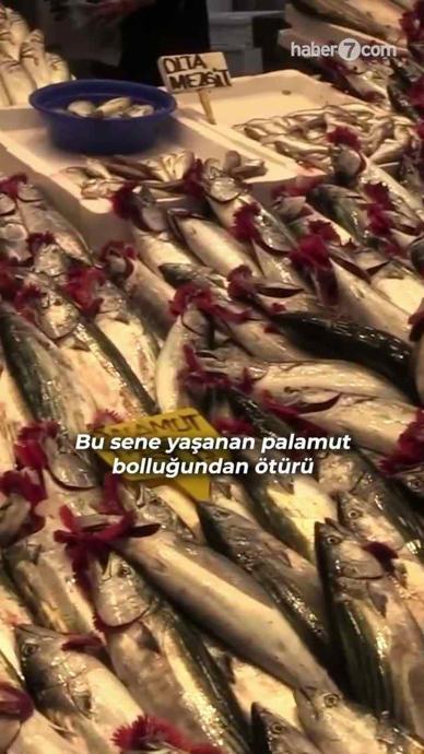 Palamut bolluğu Rize&rsquo;ye yaramadı!