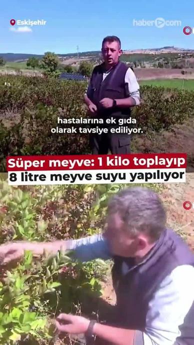 1 Kilo toplayıp 8 litre meyve suyu yapılıyor