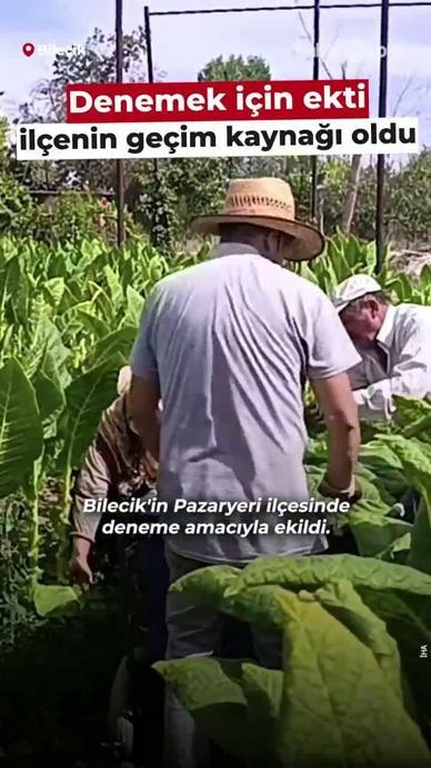 Denemek i&ccedil;in ekti il&ccedil;enin ge&ccedil;im kaynağı oldu