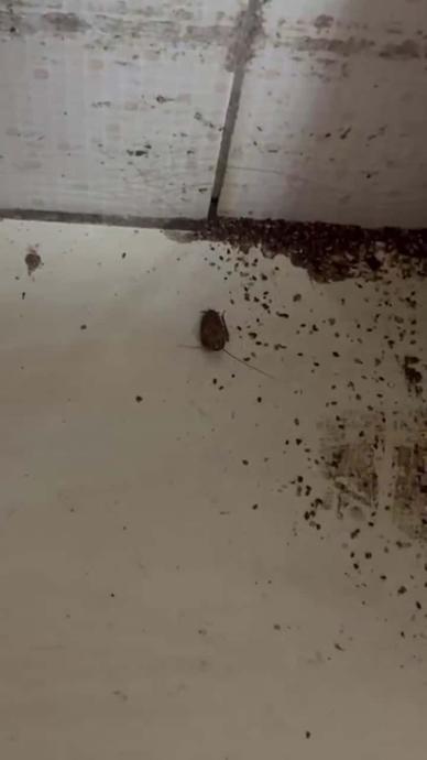 Hamam b&ouml;ceği ve izmaritinin kol gezdiği fırın!