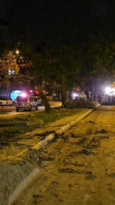 İBB'nin asırlık ağa&ccedil;ları kestiği iddiası!