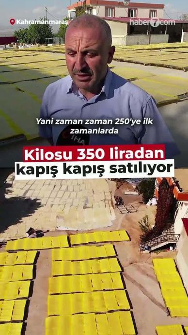 Kilogramı 350 liradan kapış kapış satılıyor!