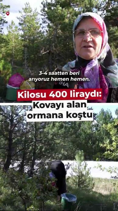 Kilosu 400 liraydı: Kovayı alan ormana koştu!