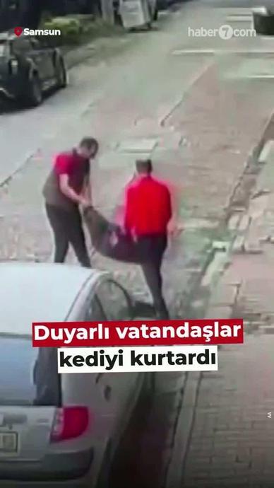Duyarlı vatandaşlar kediyi kurtardı!