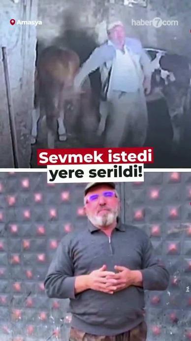Sevmek isterken tekmelendi.