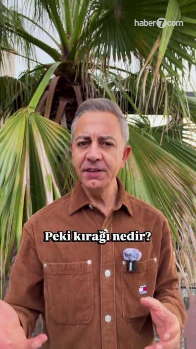 T&uuml;mer Doğru anlattı.