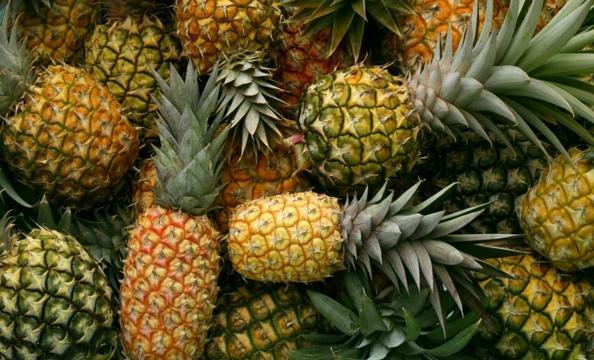 evde ananas nasil yetistirilir ananas koklendirme islemi nasil yapilir pratik bilgiler haberleri