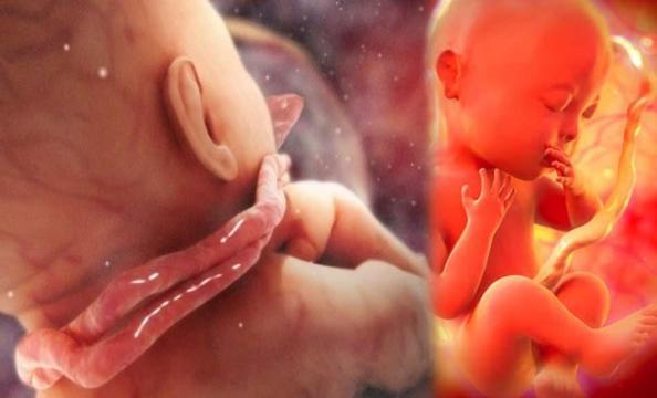 en hizli anne karninda bebek olumu belirtileri nelerdir