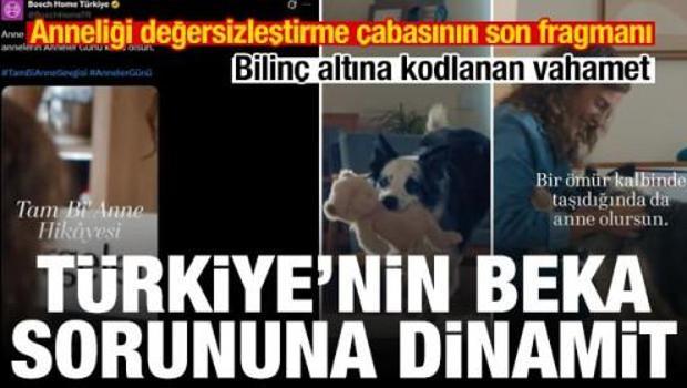 Sokak k&ouml;pekleri, evlatlarımız ve &ldquo;Anne&rdquo;liğin tanımını zorlamaya kalkışmak