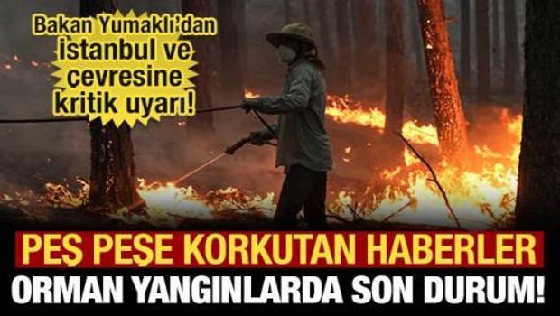Orman yangınlarında son durum ne? Bakan Yumaklı paylaştı!