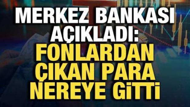 TCMB Başkanı Karahan: Fonlardaki &ccedil;ıkışlar mevduata y&ouml;neldi